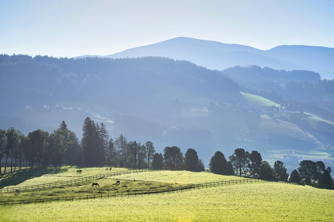 Impressionen