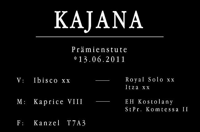 Kajana