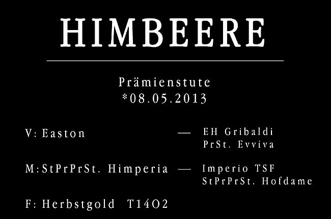 Himbeere