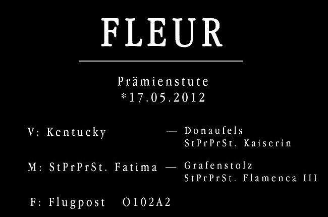Fleur TSF