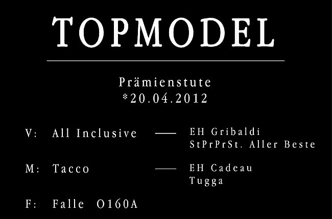 Topmodel