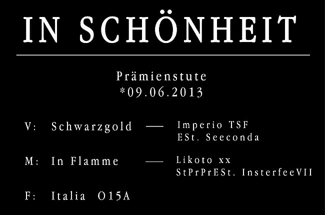 In Schönheit