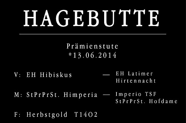 Hagebutte