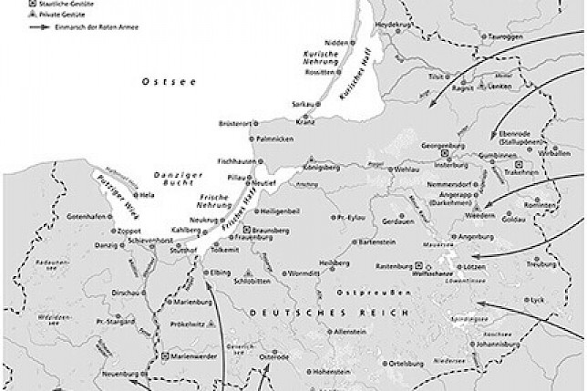 Trakehnergestüte in Ostpreußen, 1945.