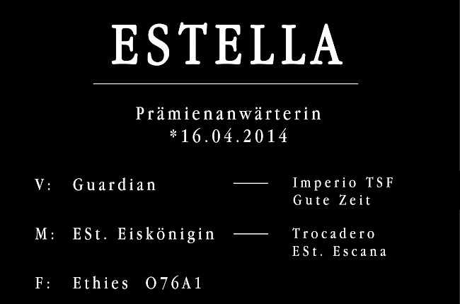 Estella