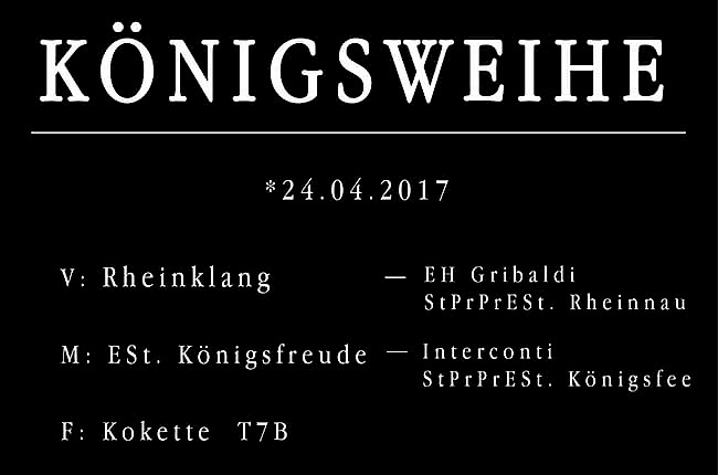 Königsweihe