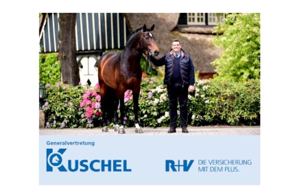 R+V Generalvertretung Kuschel