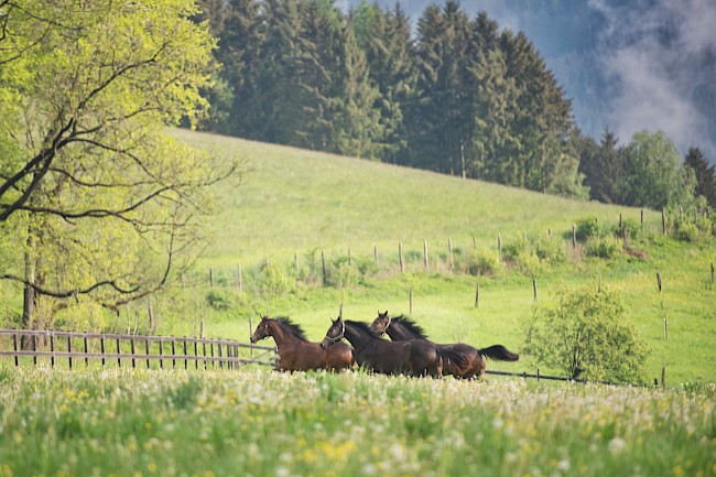 Impressionen